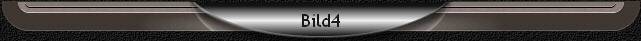 Bild4
